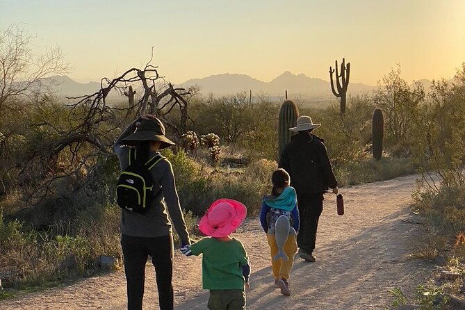 scottsdale-desert-classic-guided-hiking-adventure