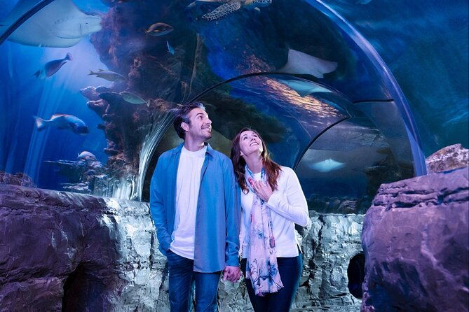 sea-life-aquarium-minnesota-admission-ticket-at-mall-of-america