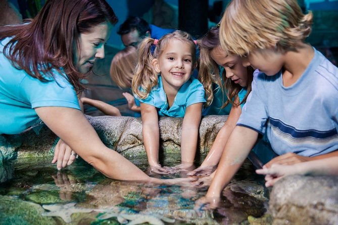 sea-life-manchester-admission-ticket