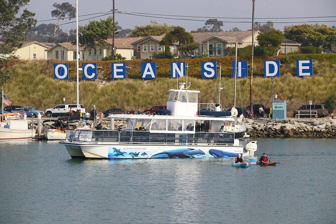 shared-two-hour-whale-watching-tour-from-oceanside