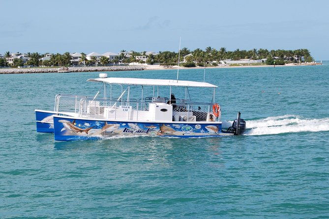 shark-and-wildlife-viewing-adventure-in-key-west