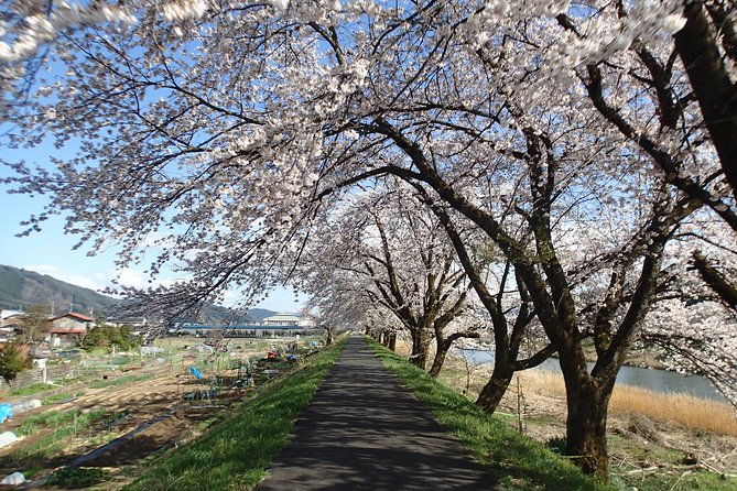 short-morning-cycling-tour-in-hida