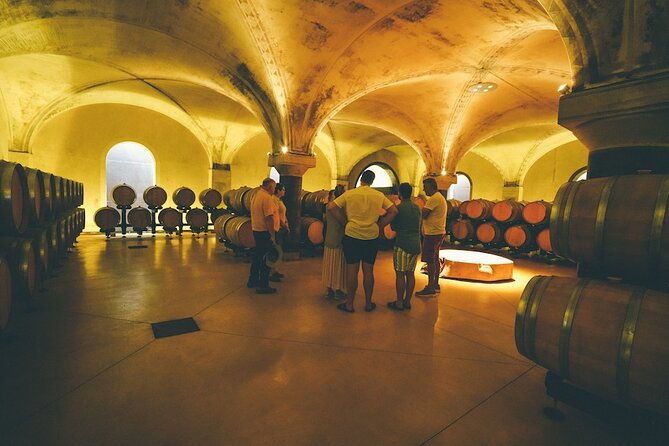 small-group-amarone-wine-e-bike-tour-from-verona