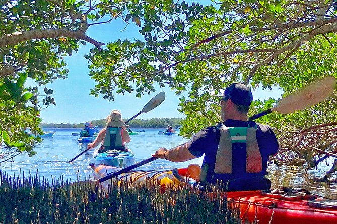 small-group-kayak-tour-of-the-shell-key-preserve