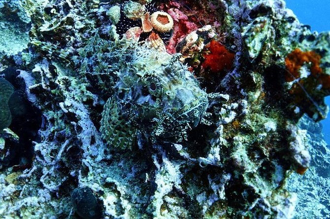snorkeling-fun-adventure-in-athenian-riviera