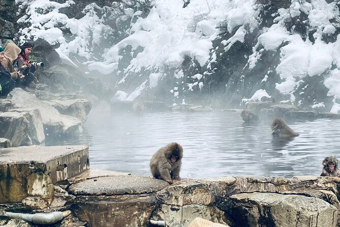 snow-monkey-nagano-one-day-private-tour-with-english-guide