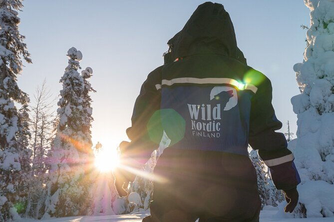 snowmobile-safari-into-the-arctic-circle-forest