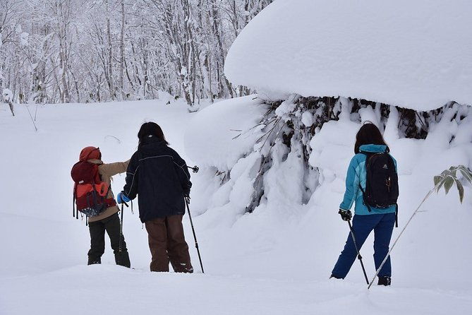 snowshoe-hike-tour-from-sapporo