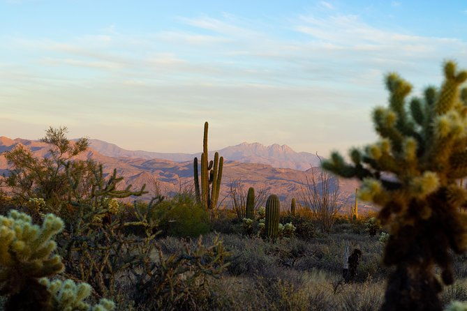 sonoran-desert-jeep-tour-at-sunset