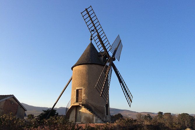 southern-burgundy-wine-tour-full-day-shared-tour-from-lyon