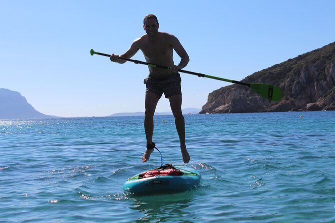 stand-up-paddle-with-dolphins
