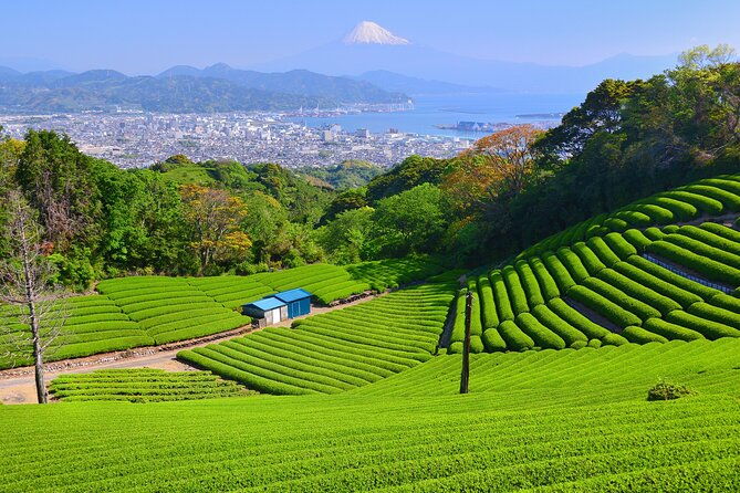 step-free-easy-going-tour-from-shimizu-port-sedan-taxi