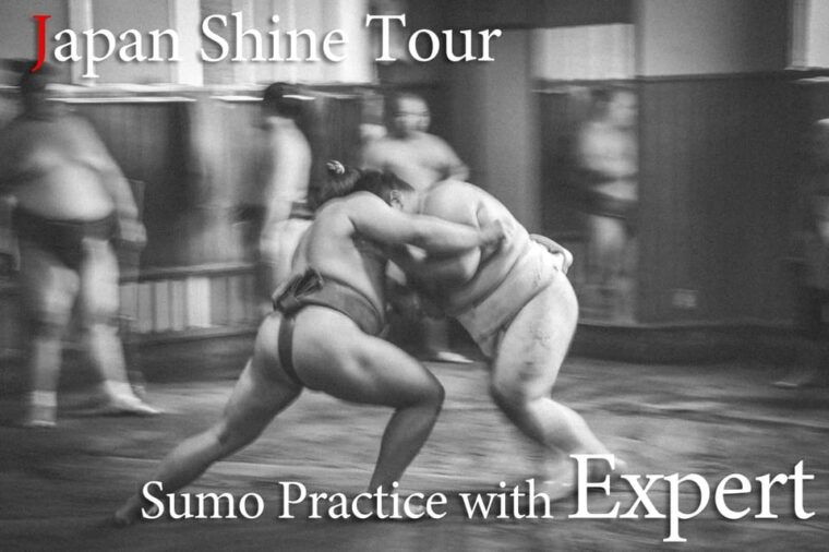 sumo-practice-watch-with-specialist-in-tokyo