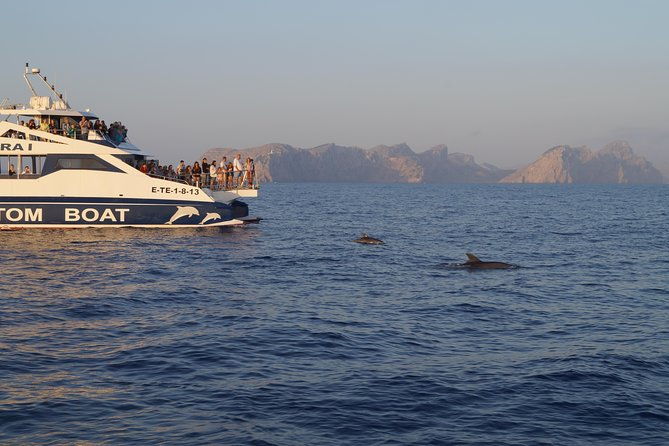 sunrise-boat-trip-in-mallorca-with-dolphin-watching