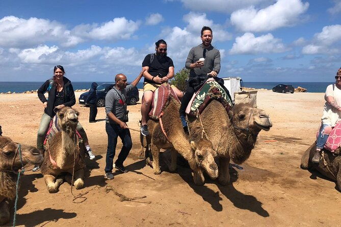 tangier-day-trip-from-seville