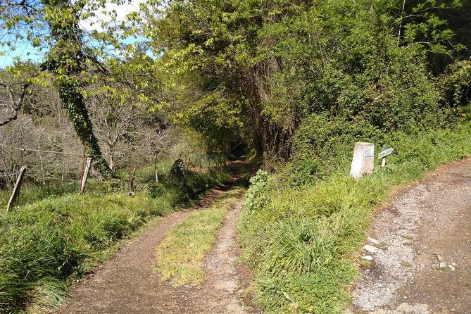 taste-of-the-camino-de-santiago