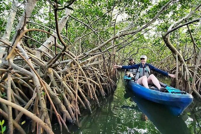 thousand-island-mangrove-tunnel-manatee-dolphin-kayak-tour-w-cocoa-kayaking