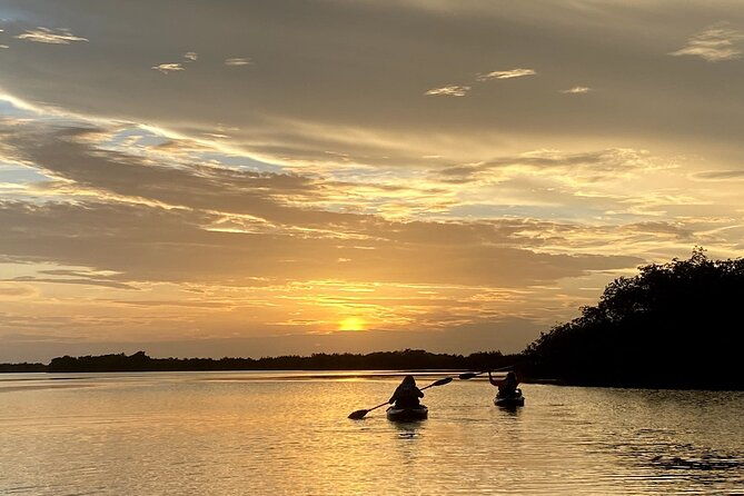 thousand-islands-mangrove-tunnel-sunset-kayak-tour-with-cocoa-kayaking