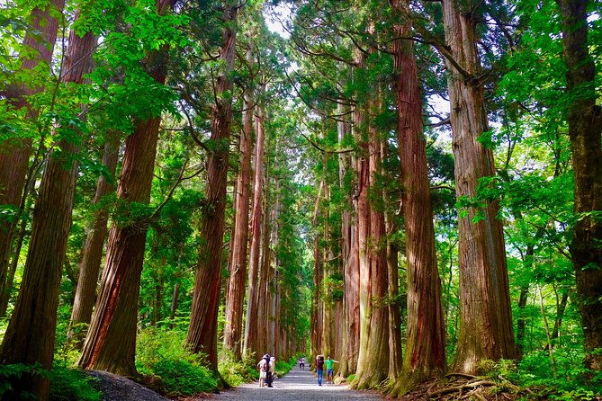 togakushi-shrine-hiking-trails-tour-with-soba-in-nagano-2