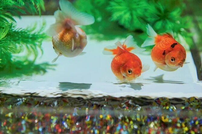 tokyo-art-aquarium-museum-e-ticket-with-optional-tokyo-metro-pass