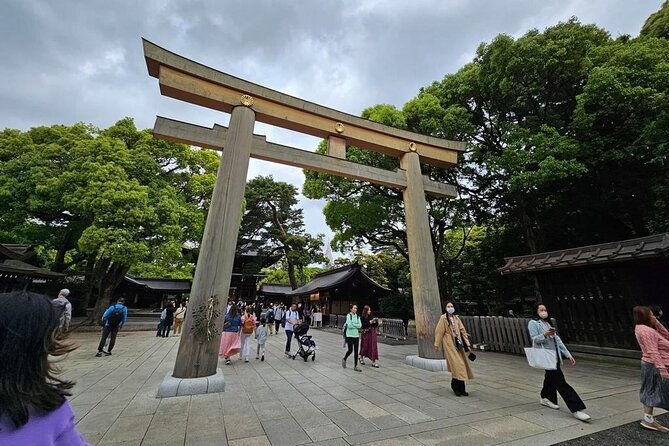 tokyo-cherry-blossom-private-one-day-tour