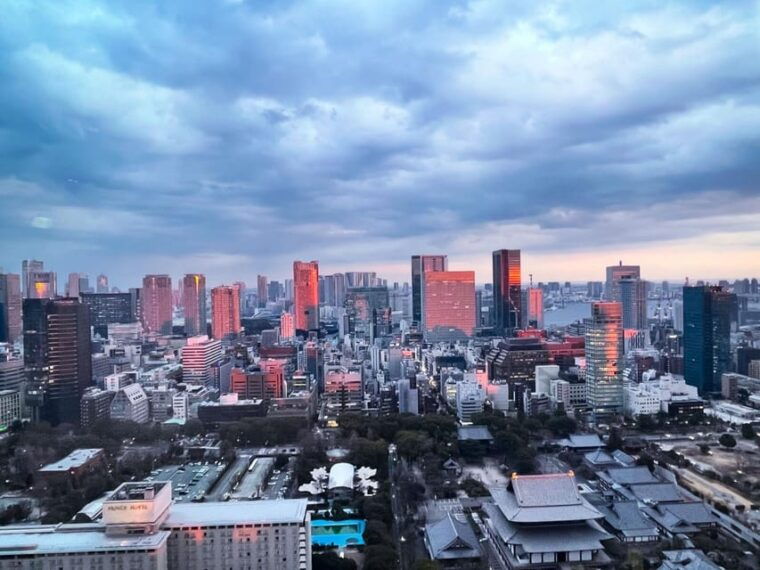 tokyo-highlights-tour-sumo-sushi-tea-and-tokyo-tower