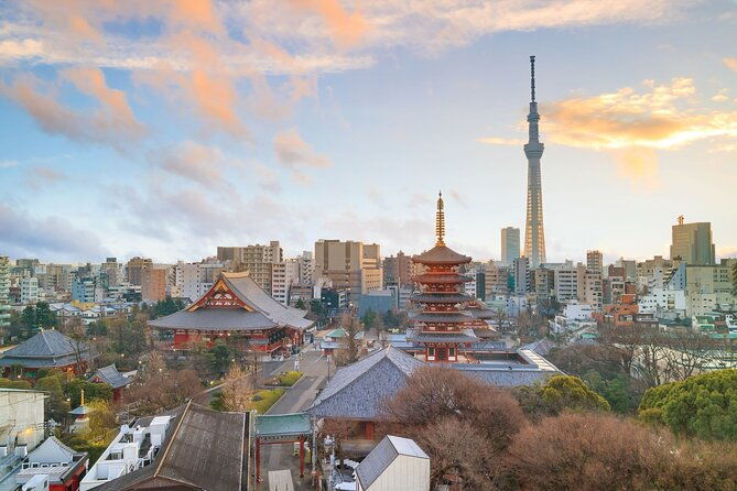tokyo-morning-small-group-tour