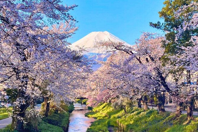 tokyo-mt-fuji-area-oshino-hakkai-kawaguchi-lake-day-trip-2