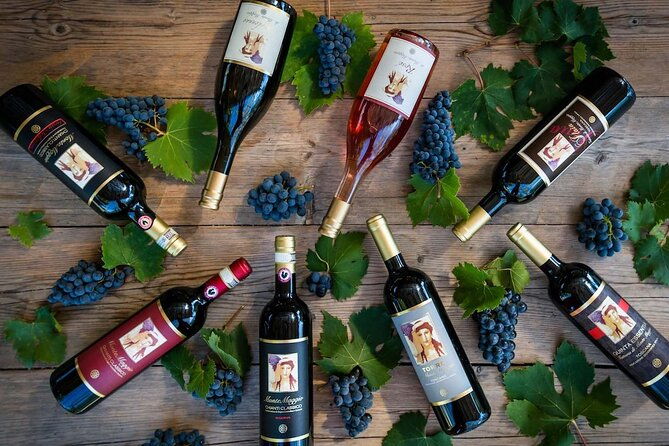 tour-and-tasting-at-an-organic-winery-in-the-heart-of-chianti-classico-area