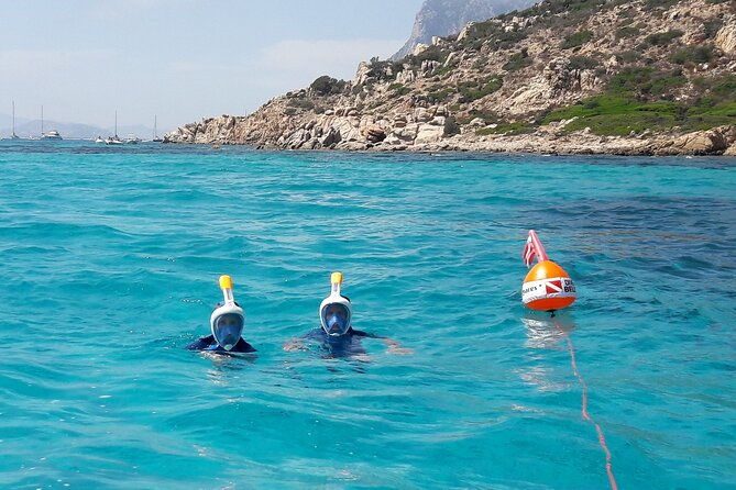 tour-in-rubber-dinghy-and-snorkeling-in-the-protected-marine-area-of-tavolara