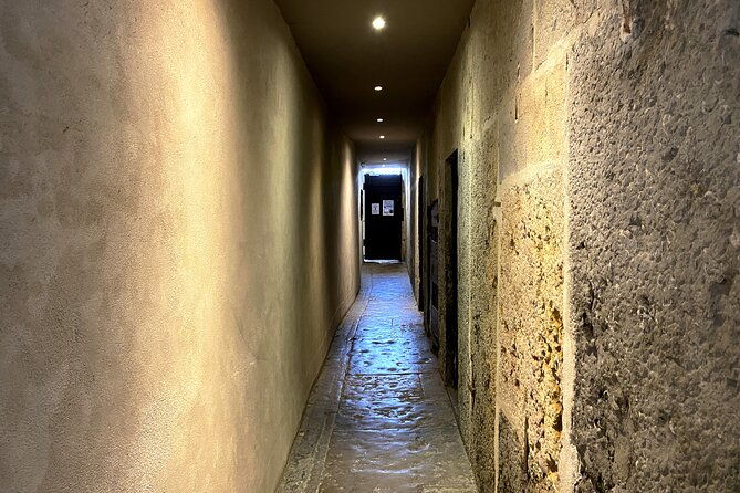 traboules-and-wine-tasting-in-lyon-old-town