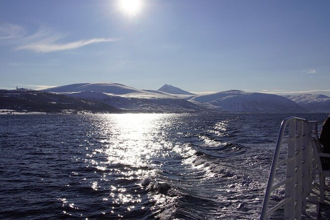 tromso-all-inclusive-polar-fjord-fishing-cruise