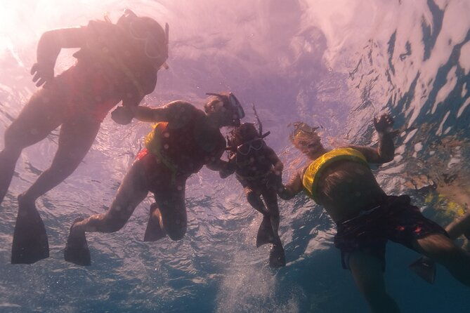 turtle-snorkeling-boat-tour-and-adventure-in-waikiki