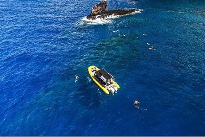 ultimate-4-hour-lanai-snorkel-and-dolphin-encounter