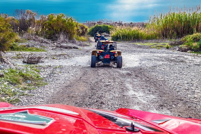village-mountain-buggy-safari-in-paphos
