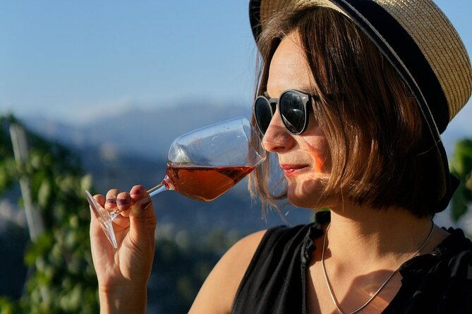 vineyard-tour-with-wine-tasting-within-nice-city-borders