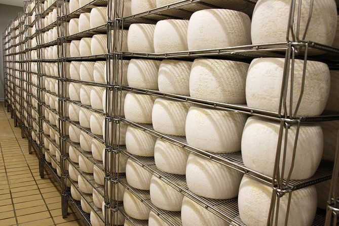 visit-to-the-dairy