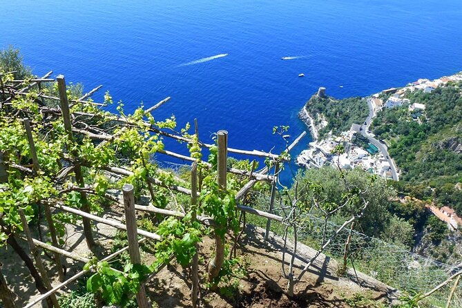 walk-cook-and-eat-on-the-amalfi-coast