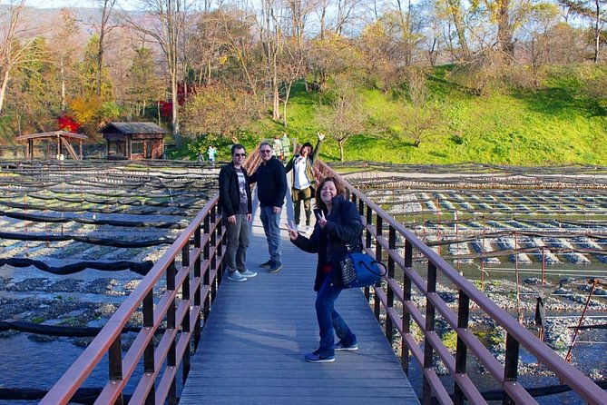 wasabi-farm-walking-tour-lunch