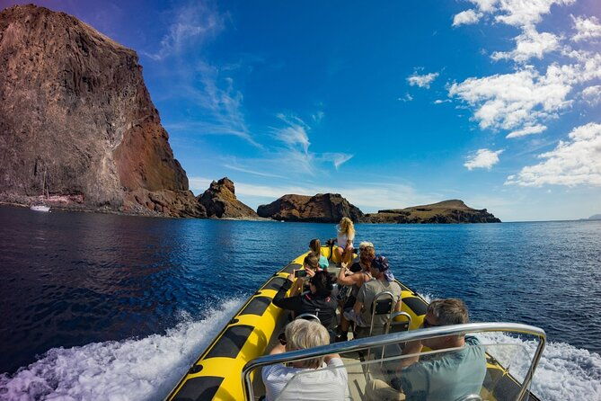 whale-dolphin-watching-in-madeira