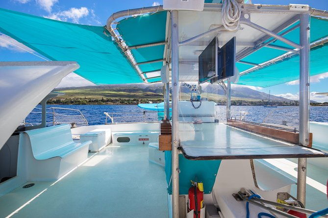 whale-watching-cruise-with-open-bar-from-kaanapali-beach