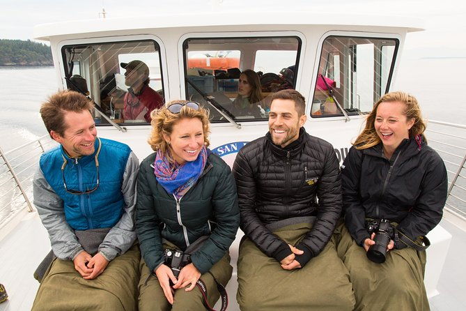 whale-watching-from-friday-harbor