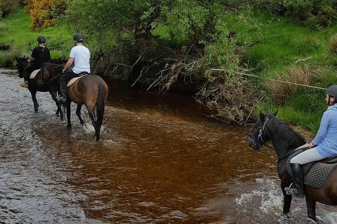 wicklow-mountains-horse-trekking