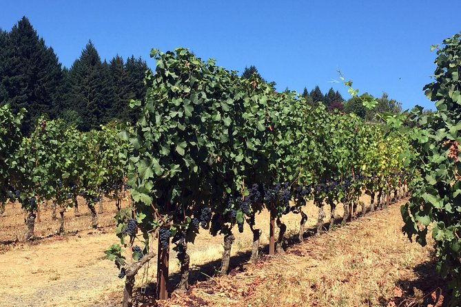 willamette-valley-character-winery-tour