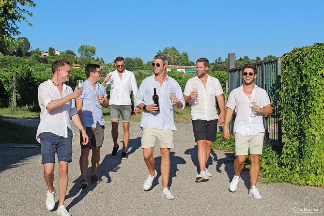 wine-and-food-tasting-in-the-vineyards-in-lazise