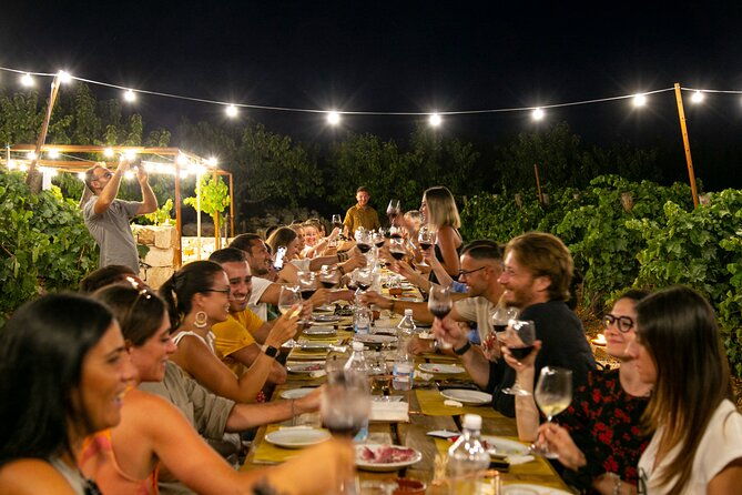 wine-experience-vineyard-wines-and-food