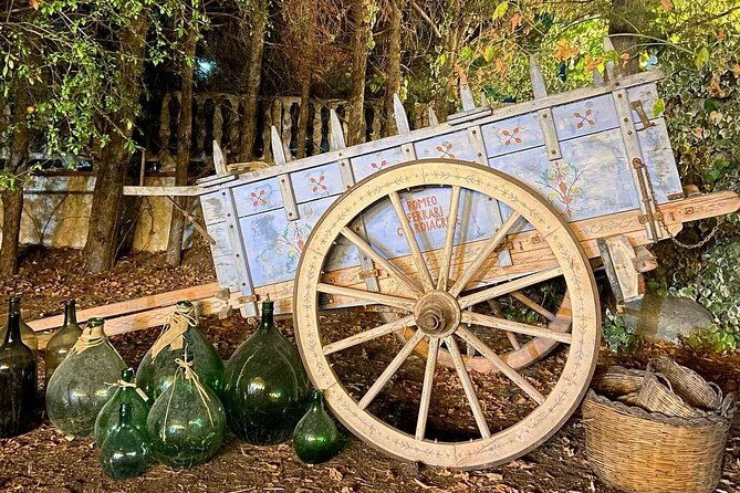 wine-tasting-and-guided-visit-to-the-vineyard-and-cellar-in-s-maria-imbaro