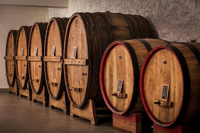 winemaker-for-a-day-tour-an-organic-winery