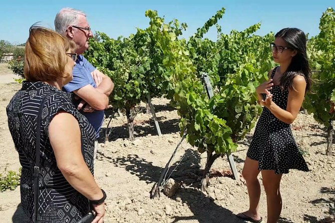 winery-and-oil-mill-tasting-tour