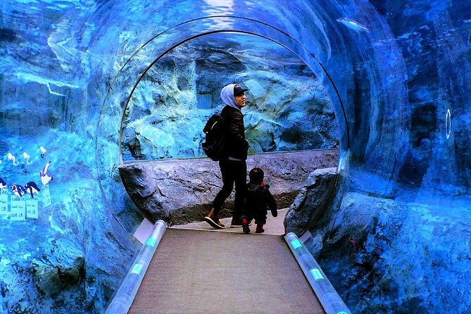 winter-asahiyama-zoo-and-blue-pond-aoi-ike-1-day-bus-tour